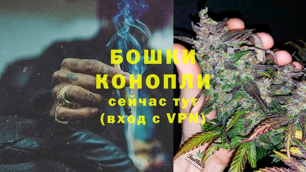 сатива Верхнеуральск