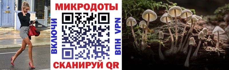Купить закладки  Калининск  Галлюциногенные грибы мухоморы 